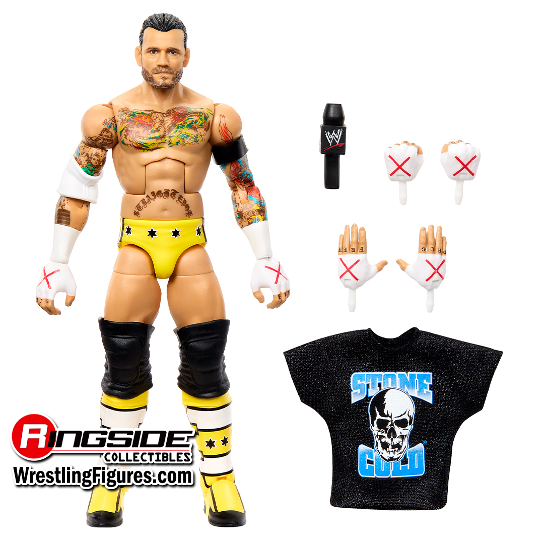 (Pipe Bomb CM Punk) - WWE From the Vault Ringside Exclusive image
