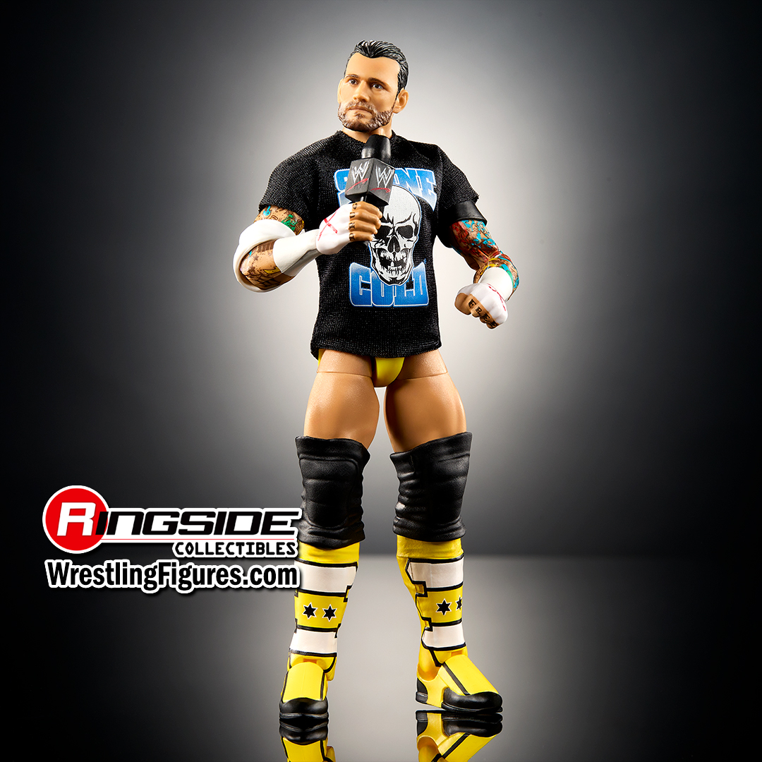 (Pipe Bomb CM Punk) - WWE From the Vault Ringside Exclusive image
