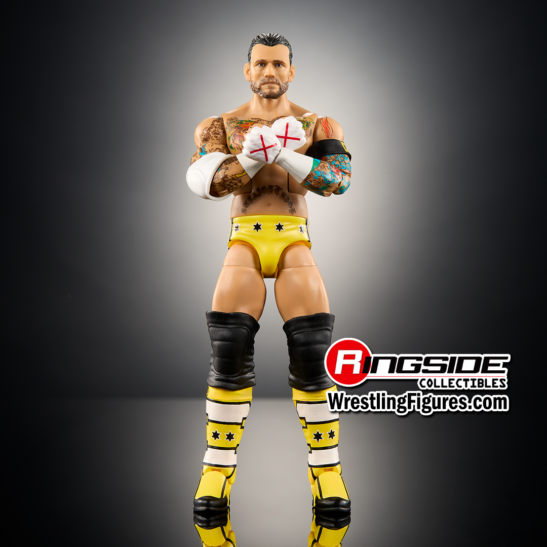 (Pipe Bomb CM Punk) - WWE From the Vault Ringside Exclusive image